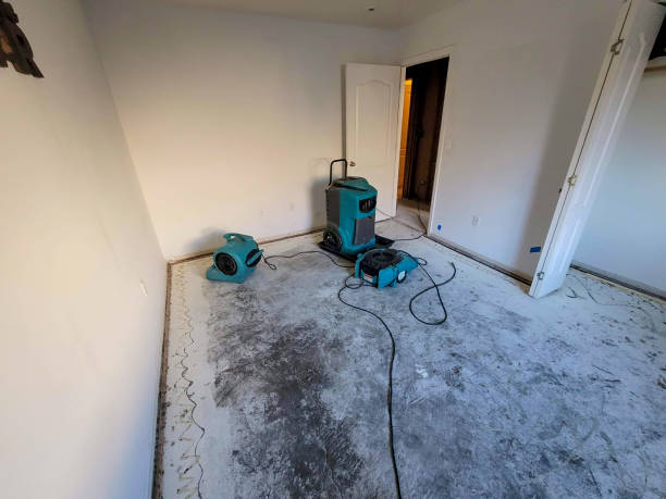 Best Water damage repair service  in Hargill, TX