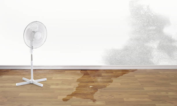 Best Water damage restoration near me  in Hargill, TX