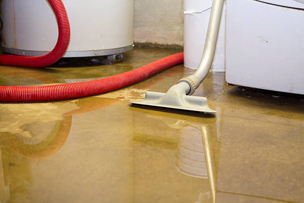 Best Flood damage cleanup  in Hargill, TX
