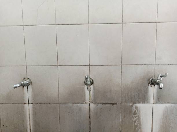 Best Flooded house restoration  in Hargill, TX