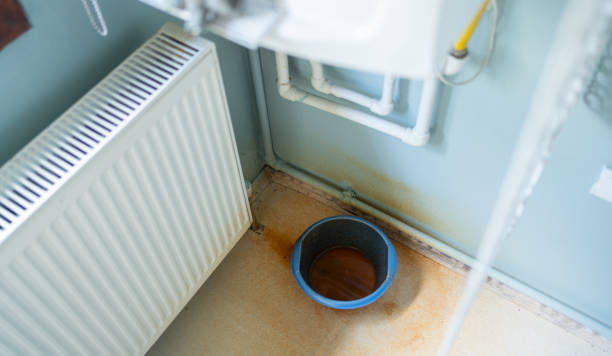 Best Professional water damage repair  in Hargill, TX